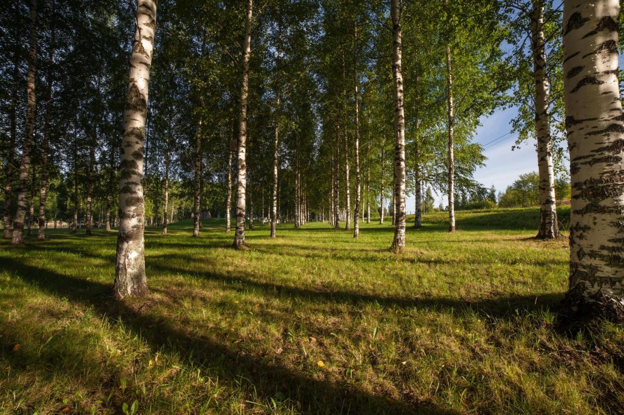 Polku Apartaments Иматра Экстерьер фото